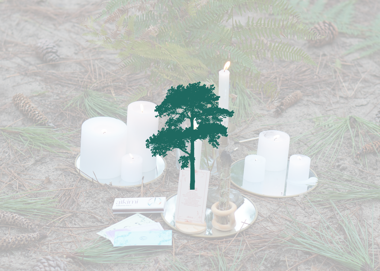 🌲 Le nématode du pin : comprendre, protéger… et continuer de créer avec conscience