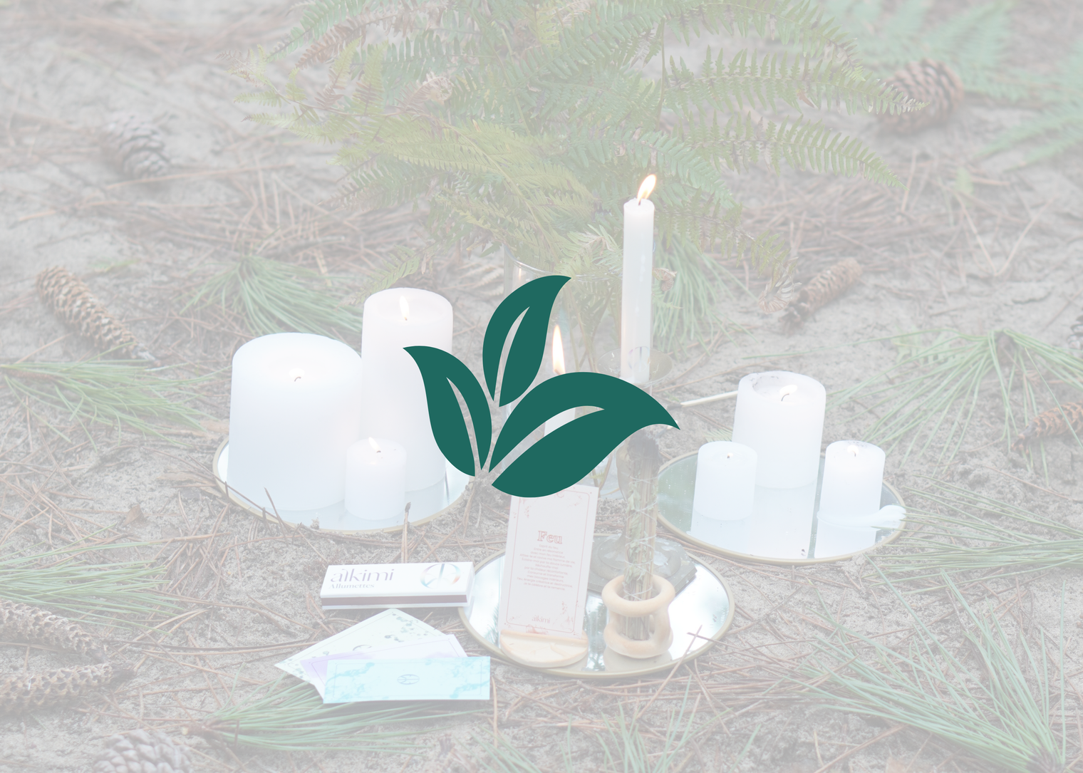 Quelles plantes utiliser en fumigation selon leurs propriétés ? Guide conscient et vivant