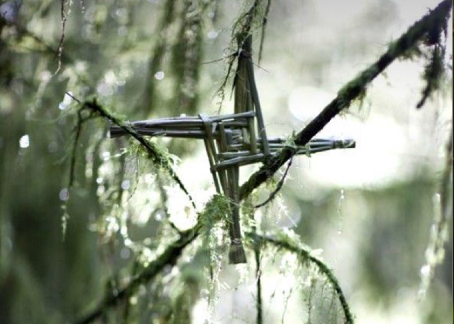 Imbolc : Origines, Symboles et Énergie