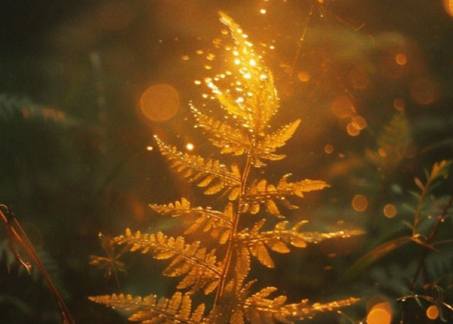 La Vibration des Plantes : Explorer la Conscience du Vivant